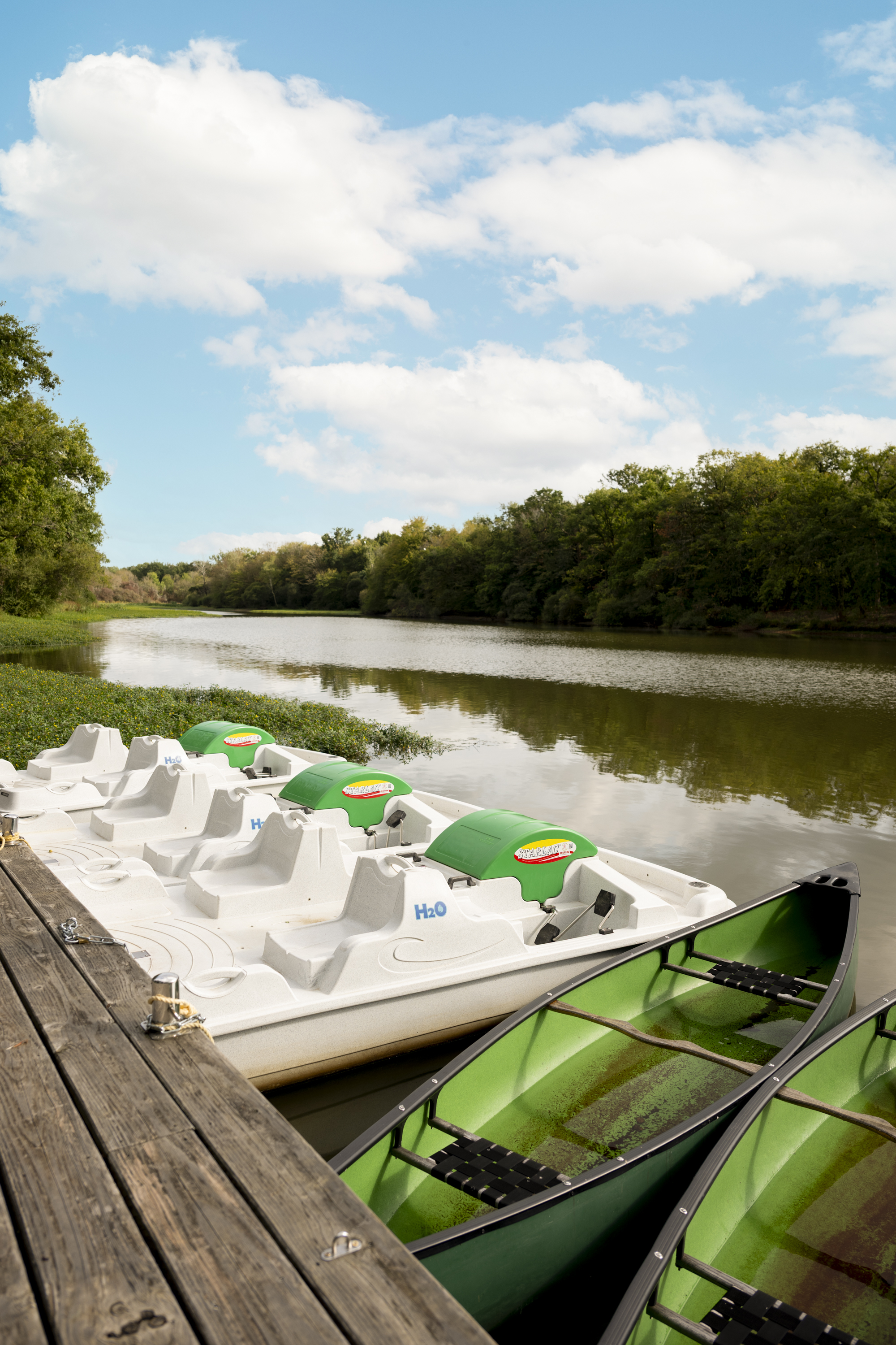 Pedal Boat